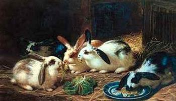 unknow artist Rabbits 116 Germany oil painting art